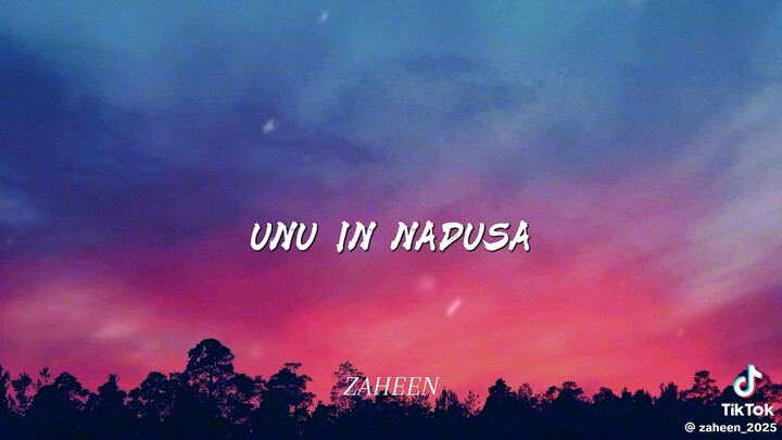 UNU IN NADUSA?
