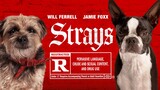 watch Full Strays - 2023 For Free : Link in Description