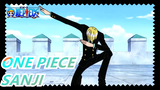 ONE PIECE| BATTLE RECORD COLLECTION-SANJI(All-round&multi-angle)