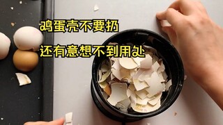 家里吃剩的鸡蛋壳不要扔，不仅能制作成蛋壳肥，还能这样用。