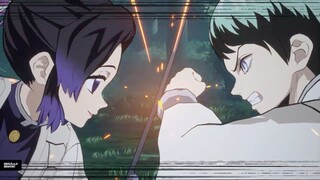 Kimetsu no Yaiba Demon Slayer Shinobu & Nezuko Vs Yushiro & Tamayo