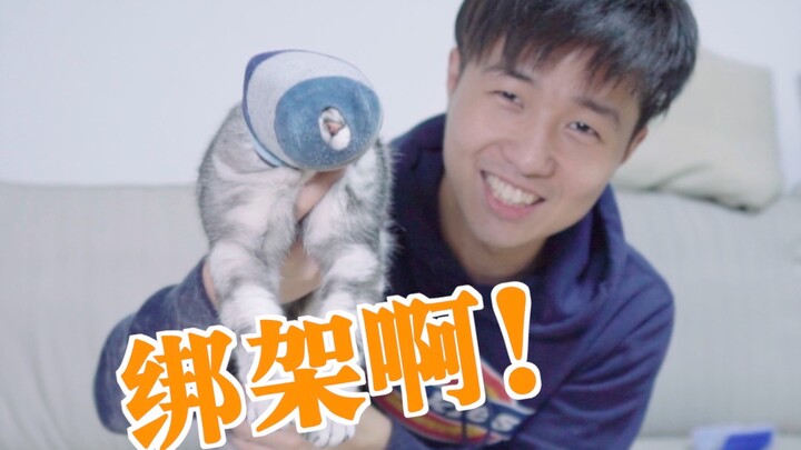 Putting a stinky sock over a cat’s head to kidnap it—just to make a few fancy hats!?