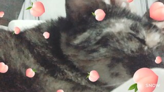 Sleep more