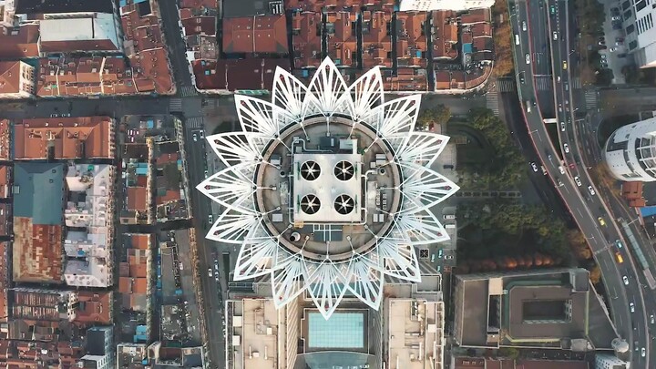 Tổng hợp phong cảnh thành phố Thượng Hải