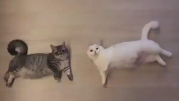 انتبه! هل أنت أيضًا تتثاءب؟ هيا معًا!