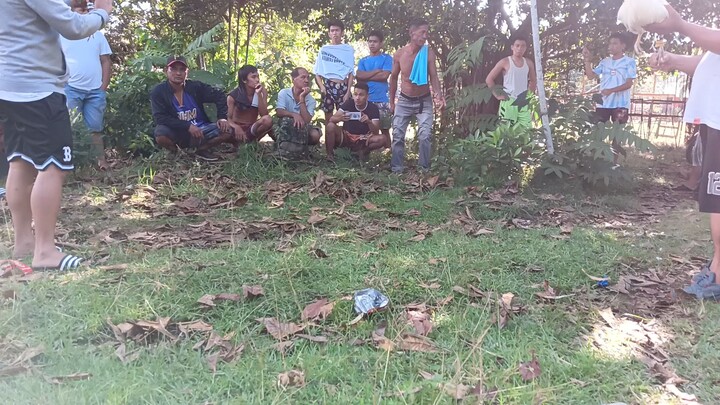 Canawayon vs ogis, akin canawayon