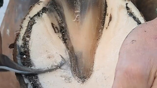 【วิดีโอคลายเครียดของพังหู่】ผู้สร้างเนื้อหาออกสำรวจ ยินดีต้อนรับทุกคนมาชมและกดไลก์ กดแชร์ กดติดตาม!