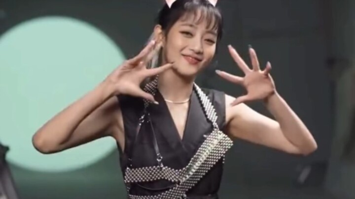 【MINNIE】(Subtitle Mandarin) Kucing yang lupa tarian 'Senorita'