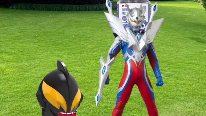 What's on Zero's back?