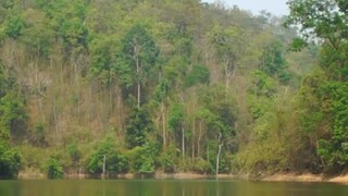 Udh gw pantau... sejauh ini, ini yg paling jauh ๐