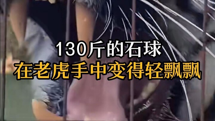 A 130-jin stone ball looks as light as a feather in the tiger’s hands.