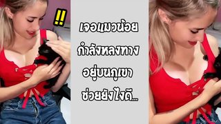 ภูเขาลูกใหญ่เกินไป จนตามหาลูกแมวไม่เจอจริงๆ สงสารน้อง รวมคลิปฮาพากย์ไทย