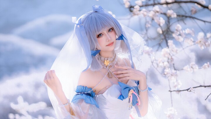 Pelancong, Jiefen!! Cosplay pengantin Ayaka Kamisato