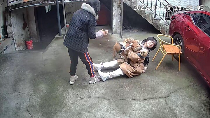 Ấm áp mà lại hài hước! Cô gái về nhà, chú chó nhiệt liệt chào đón, kết cục khiến người ta bất ngờ.
