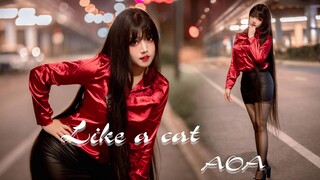 【kazami】猫步轻悄-AOA【偷心肥猫HB2人鱼饲养员】