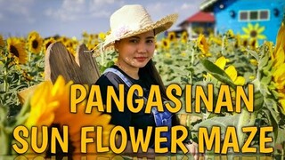 PANGASINAN SUN FLOWER MAZE