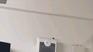 校长广播高歌欢送学生放假，网友：这个 校长能处有歌他是真唱