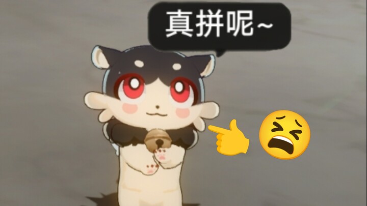 打主线前请一定要！把它关了！！！