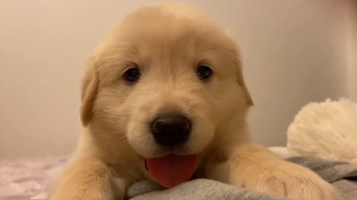 "This video's big data only recommends cute and funny people!"