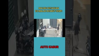 RANMOR KEPERGOK MALAH KELUARIN SENPI #shorts