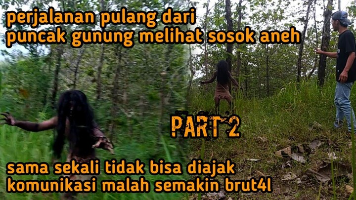 melihat sosok aneh saat turun dari puncak pegunungan @roby A&W @Ganang Setioko