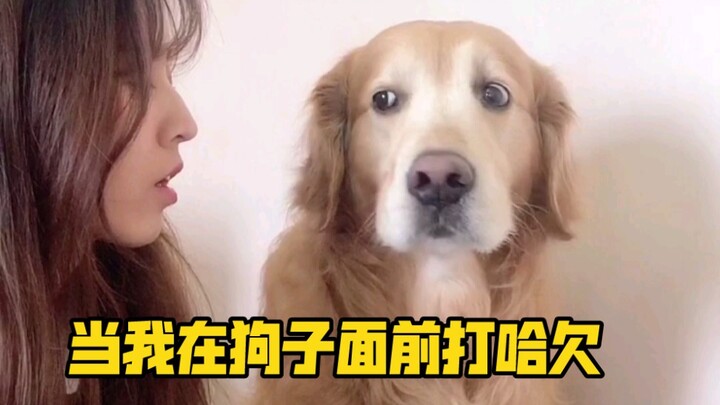 He actually reacted like this when I yawned in front of the dog?!