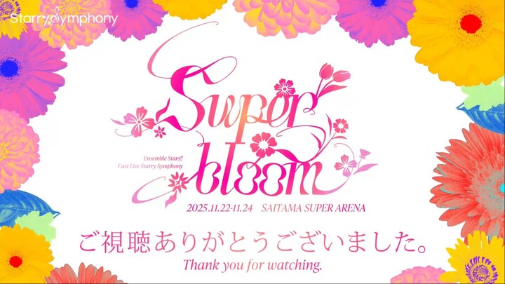 SS4 Superbloom Day 2