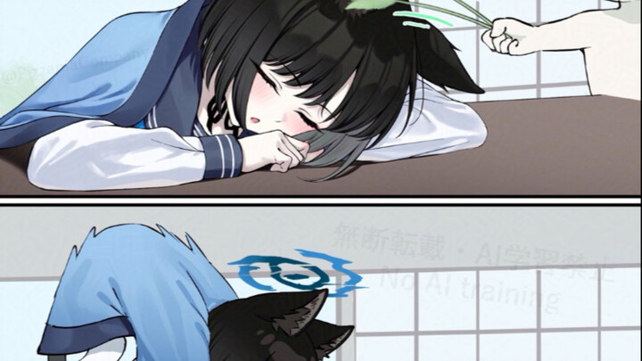逗逗桔梗猫猫