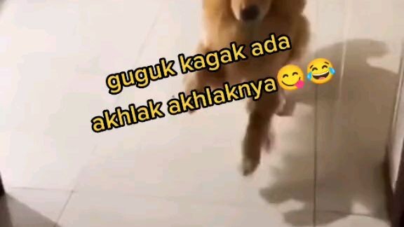 meme ngakak abizz