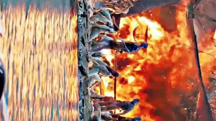 Avtaar 2 shorts.. 🤍🤍🤍🤍