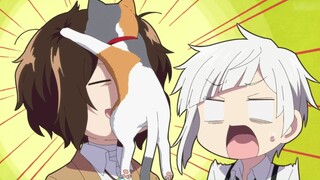 Dazai: Maafkan aku karena bersikap manis~