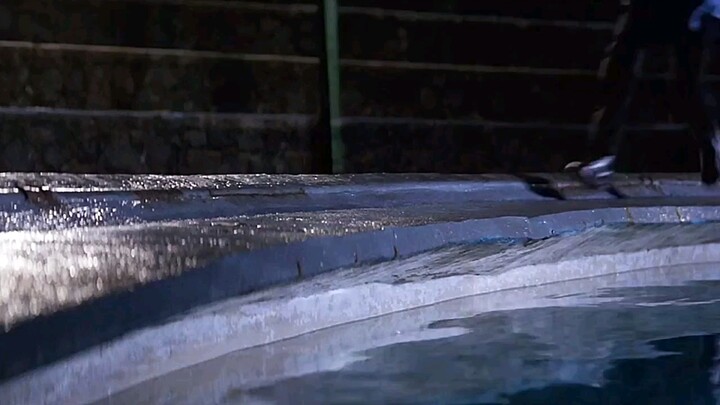 Sau cú nhảy vọt, nó lao mình vào đại dương của chính mình #ĐộngVật