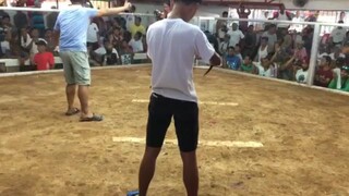 late upload 3rd fight