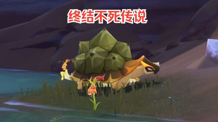 It took me eight hours to kill the Xumi Turtle.