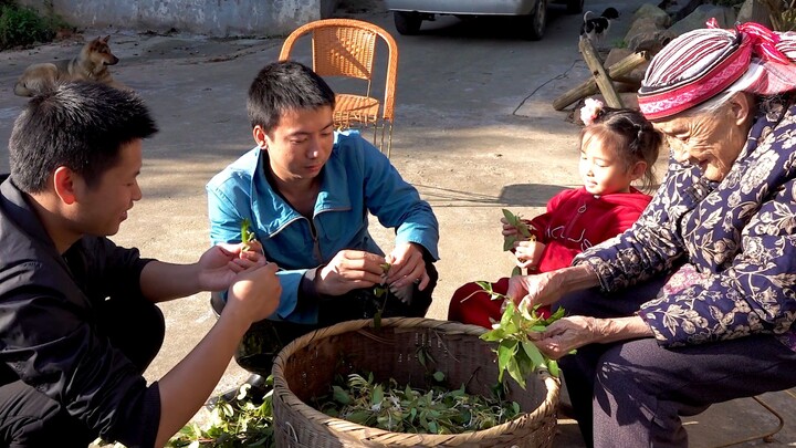 Hua Nong Brothers: The honeysuckle is blooming again—let’s pick some to brew tea; it smells so fragr