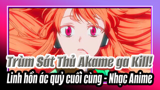 Trùm Sát Thủ Akame ga Kill! / Linh hồn ác quỷ cuối cùng
