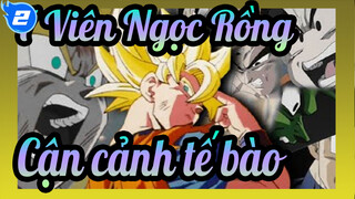 [7 Viên Ngọc Rồng] Sức hấp dẫn của ánh sáng [Cận cảnh tế bào]_2