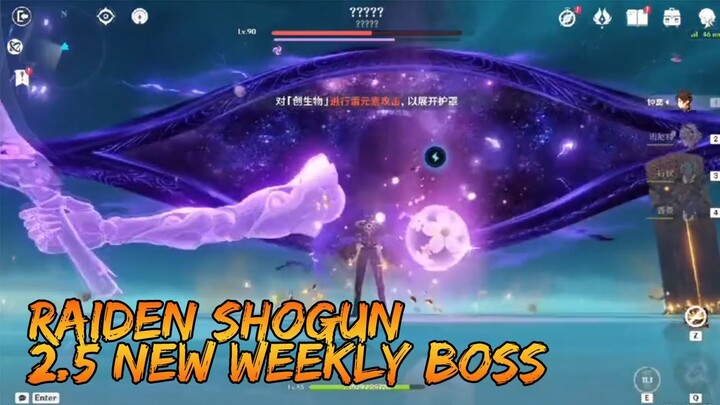 RAIDEN SHOGUN 2.5 WEEKLY BOSS BATTLE