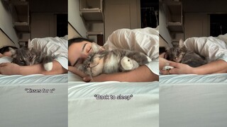 الفتاة الأكثر جمالاً تقابل القط الأكثر جمالاً 😽