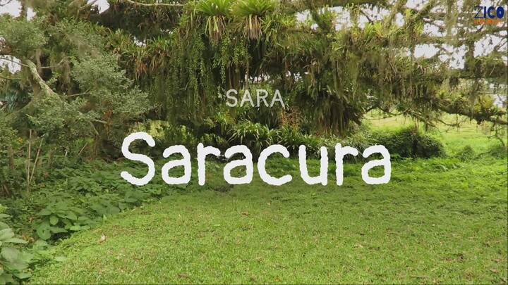 Sara Saracura Aramides saracura ZiCoAdventure