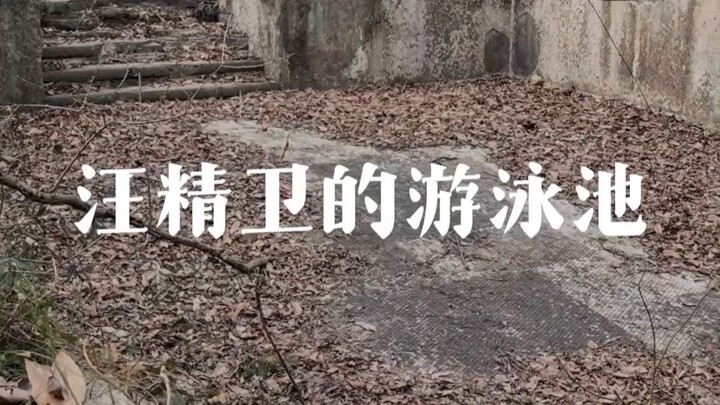 Wang Jingwei’s Swimming Pool in a Barren Wasteland