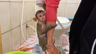 Small Baby Liheang Routine Bathing At Noon