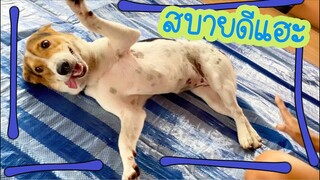 โลกของแสนดี ตอน ผ้าใบคือไรงะ?
