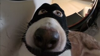 The first heist of the new year—let's go big! 💪