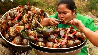 Cooking curry snail with chili recipe By village - Yummy curry snail - Cooking Life