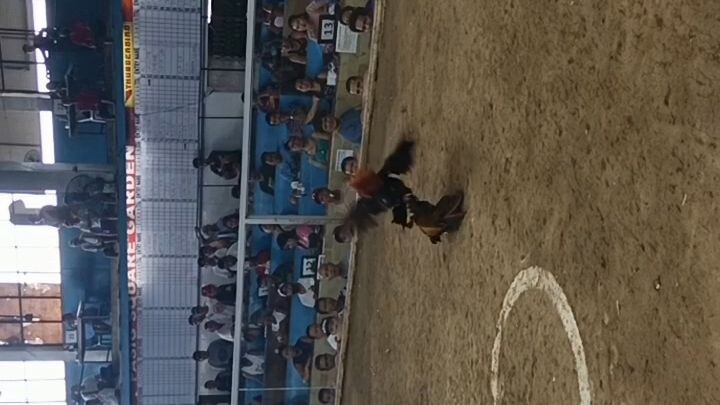 joecan blues x black imao