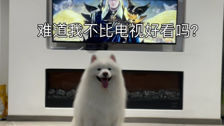 Chẳng lẽ chỉ vì xinh hơn một chút là có thể cản tôi xem TV à?