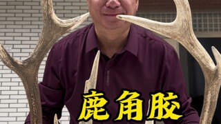 It took 18 days to simmer tough deer antlers into deer horn glue.