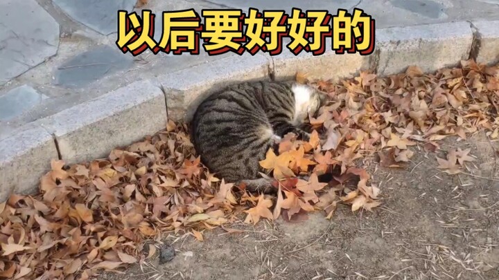 Just slipped away in silence