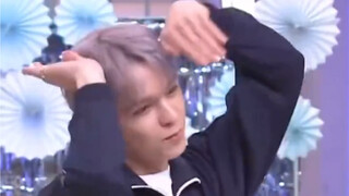 دون أن يشعر أحد، وقعت دُبة قطبية صغيرة في حب رومانسي متكرر